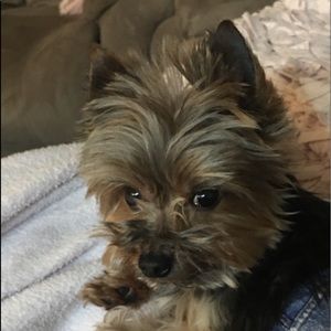 Meet your Posher, Lisa